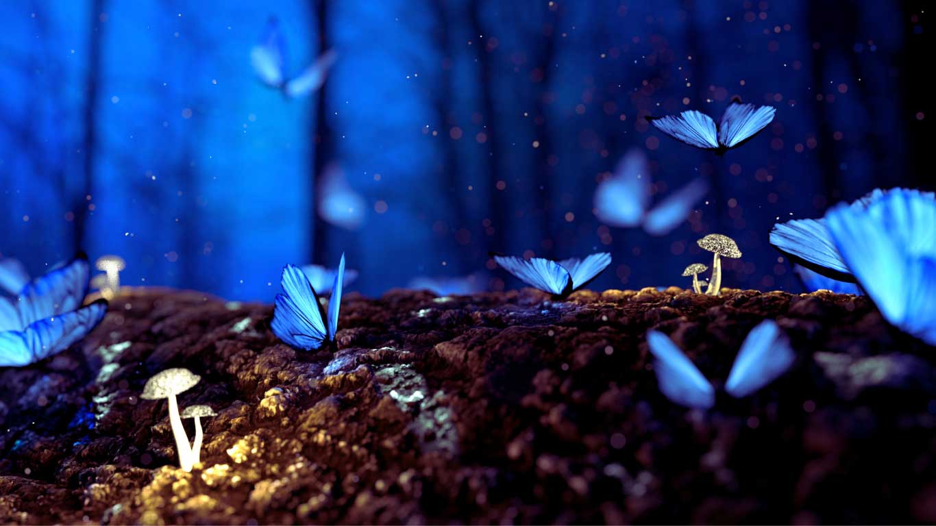 Explore-the-magic-of-possibilities-main-image